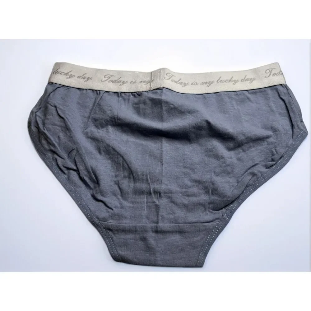 New Bikini Brief Today is Your Lucky Day Small Panties Underwear NWOT Blue Grey